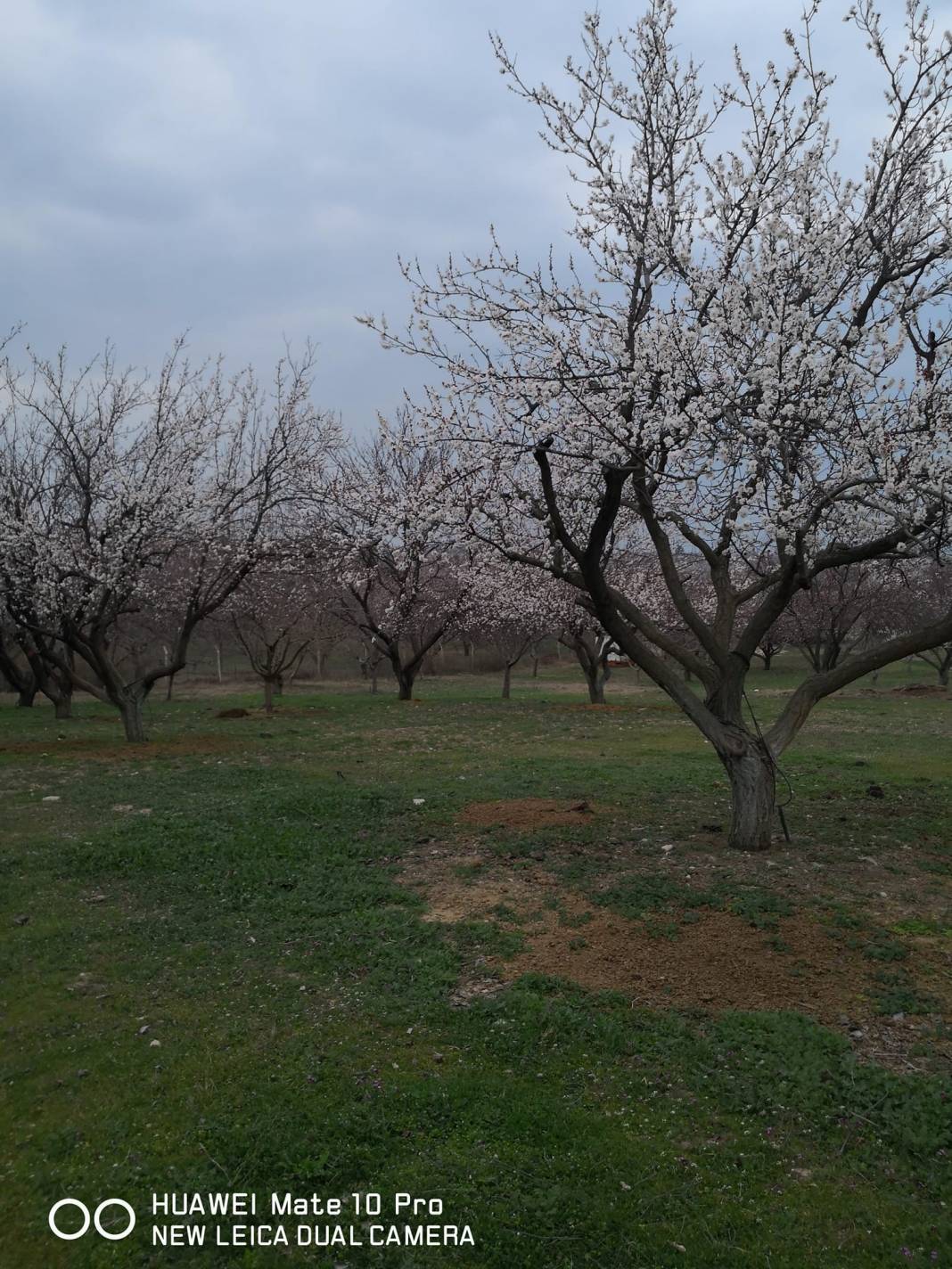 Battalgazi Adagören Köyü Resimleri 6