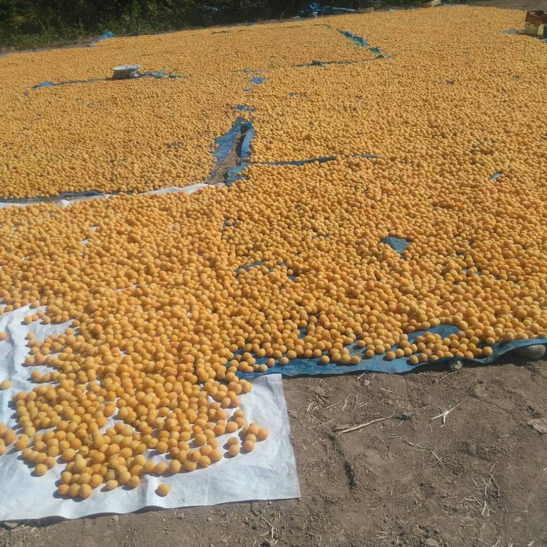 Battalgazi Adagören Köyü Resimleri 7