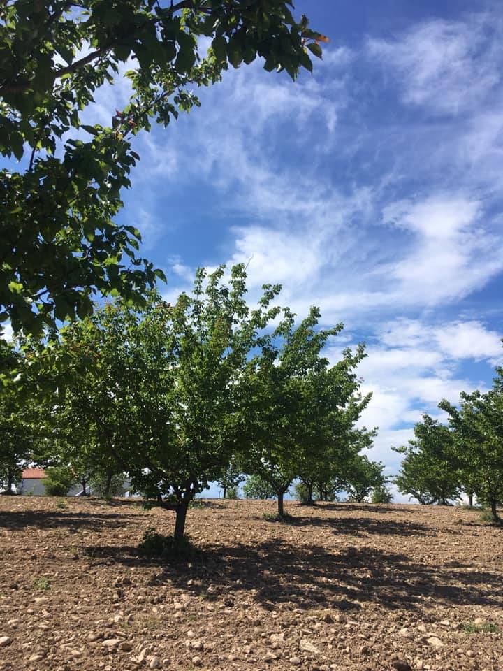 Battalgazi Adagören Köyü Resimleri 8