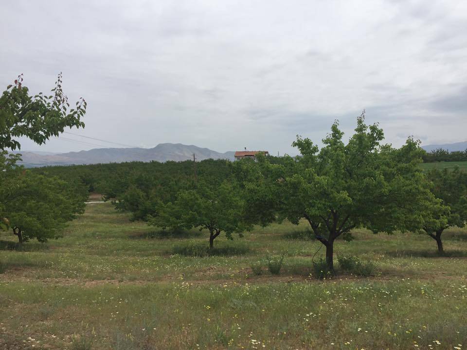 Battalgazi Ağılyazı Köyü Resimleri 5