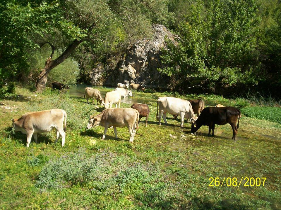 Çavdarhisar Gökler Köyü Resimleri 5