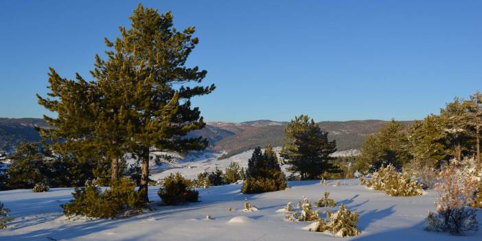 Çavdarhisar Gökler Köyü Resimleri