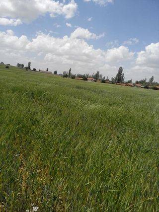 Çavdarhisar Hacımahmut Köyü Resimleri 2