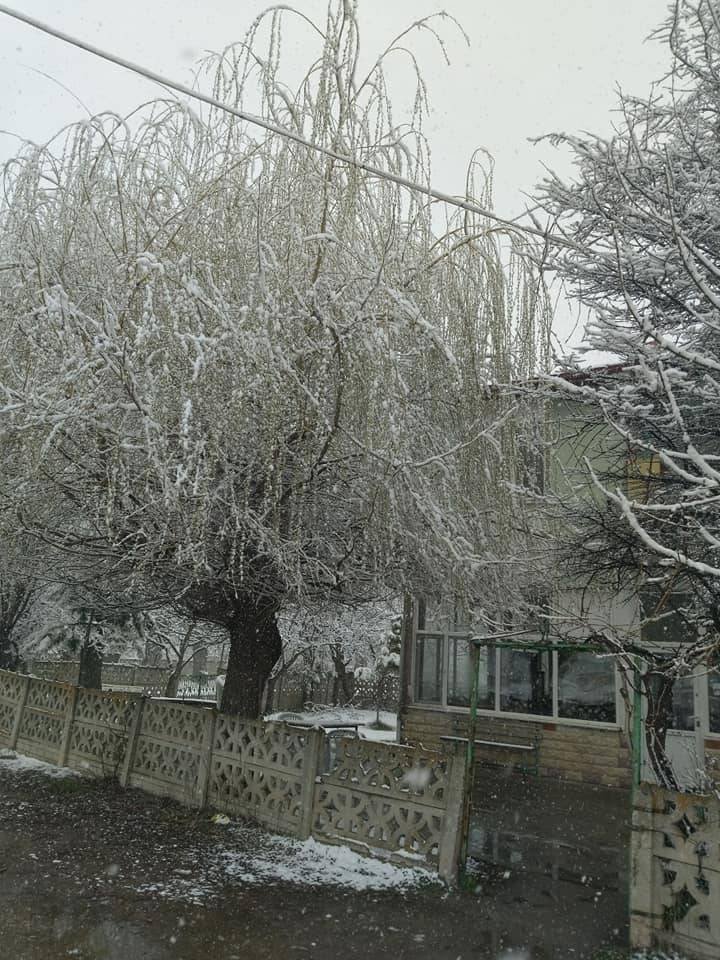Çavdarhisar Hacımahmut Köyü Resimleri 7