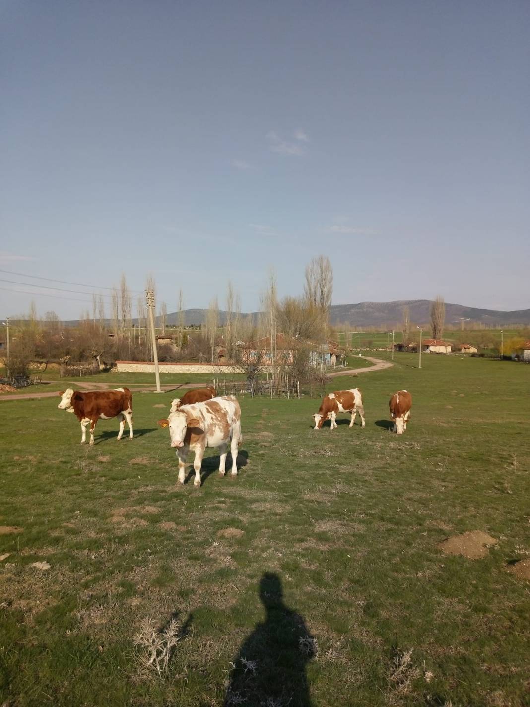 Çavdarhisar Hacımahmut Köyü Resimleri 9