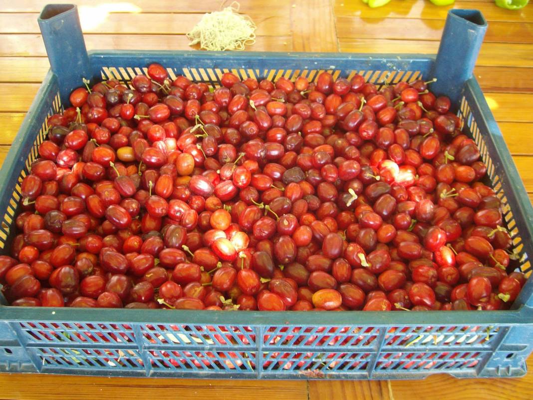 Çavdarhisar İlçikören Köyü Resimleri 11