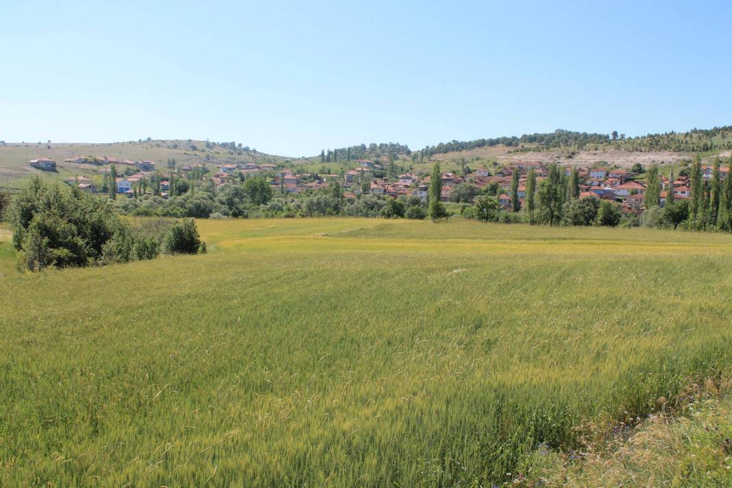 Çavdarhisar İlçikören Köyü Resimleri 18