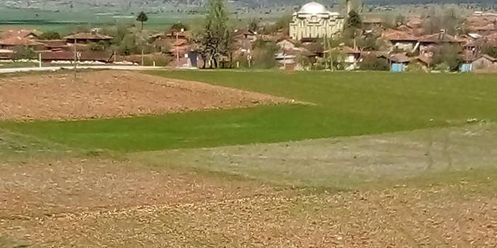 Çavdarhisar Susuzkaya Köyü Resimleri