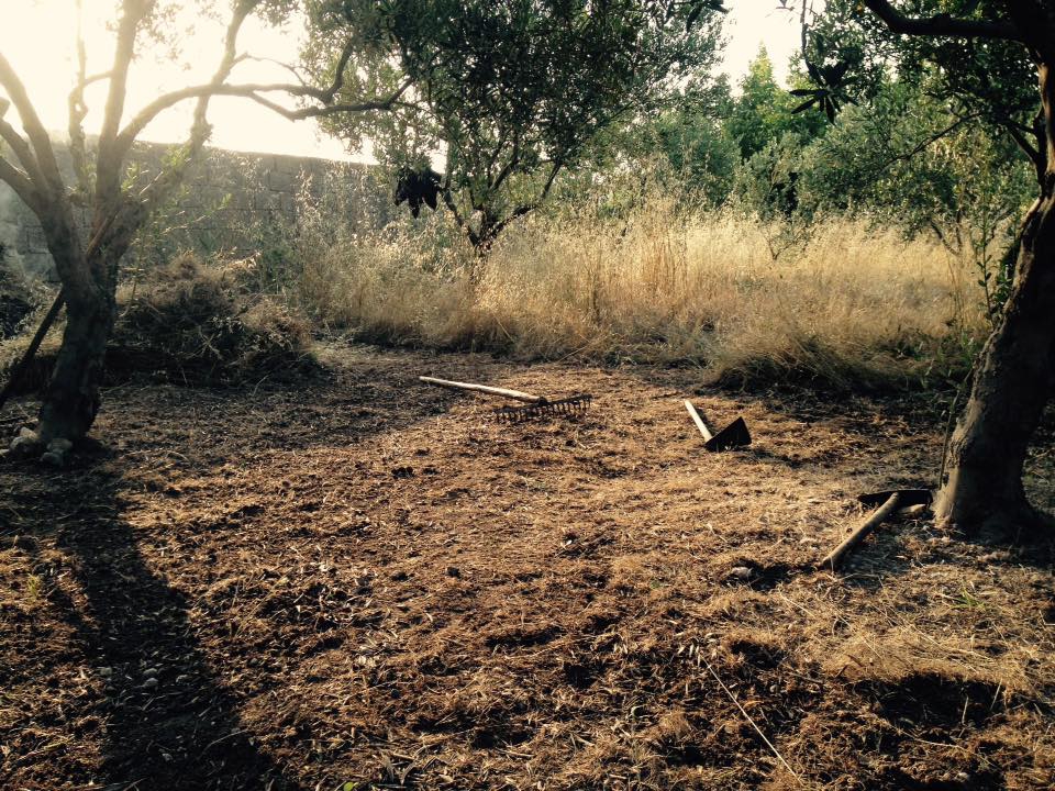 Akhisar Kapaklı Köyü Resimleri 8