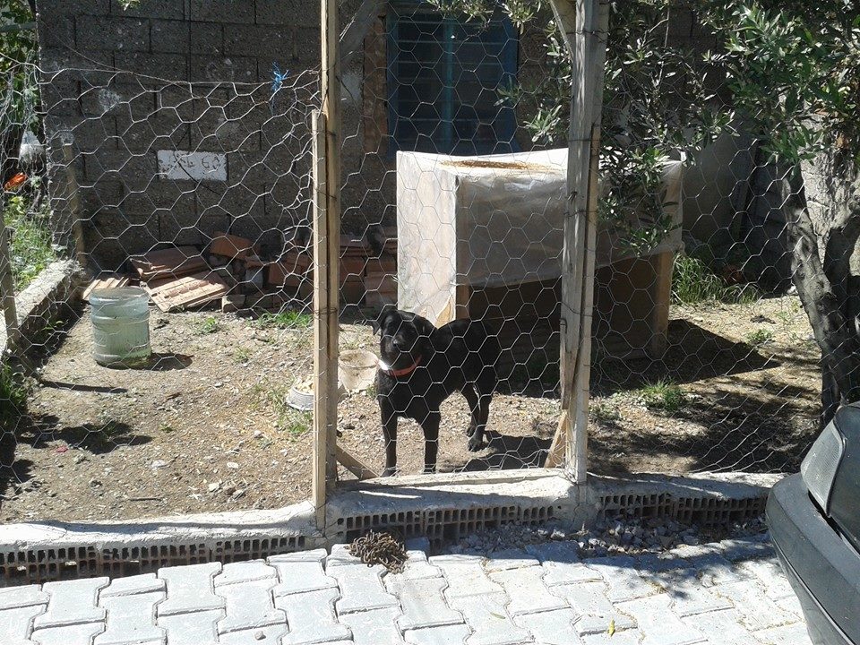 Akhisar Kapaklı Köyü Resimleri 9