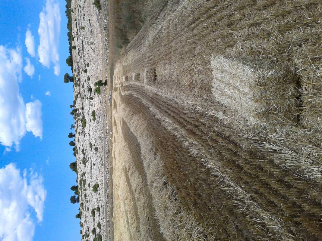 Çavdarhisar Zobu Köyü Resimleri 4