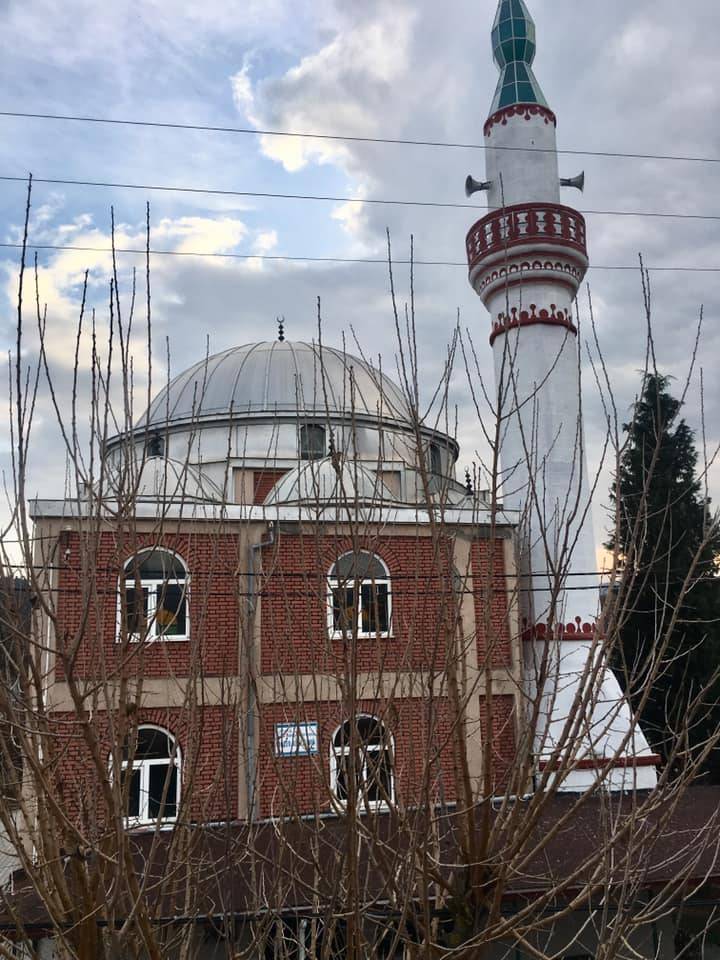 Domaniç Böçen Köyü Resimleri 16