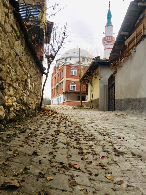 Domaniç Böçen Köyü Resimleri 17