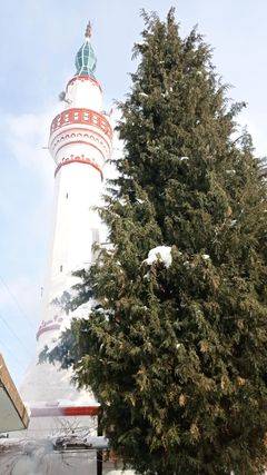 Domaniç Böçen Köyü Resimleri 22