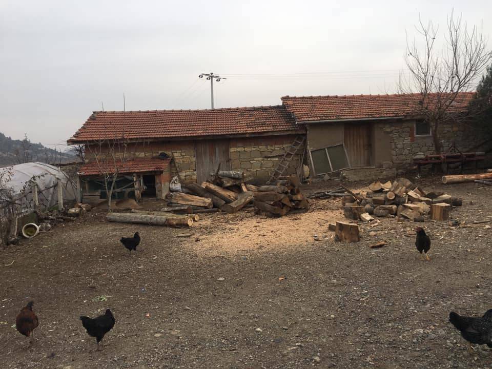 Domaniç Böçen Köyü Resimleri 3