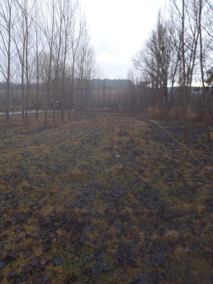 Domaniç Bükerler Köyü Resimleri 4