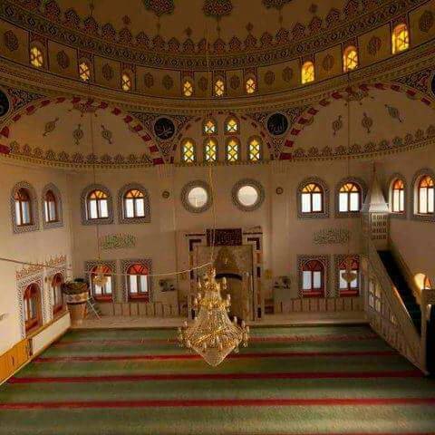 Domaniç Çamlıca Köyü Resimleri 1