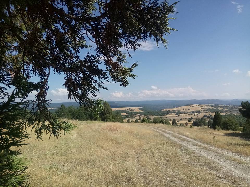 Domaniç Çamlıca Köyü Resimleri 15