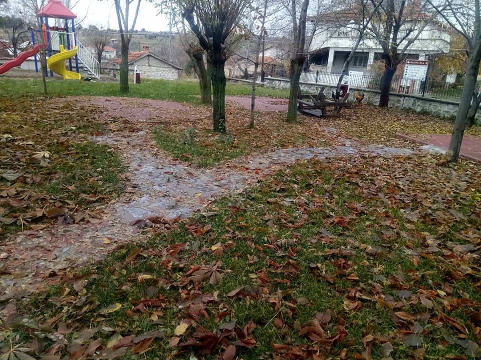 Domaniç Çamlıca Köyü Resimleri 16