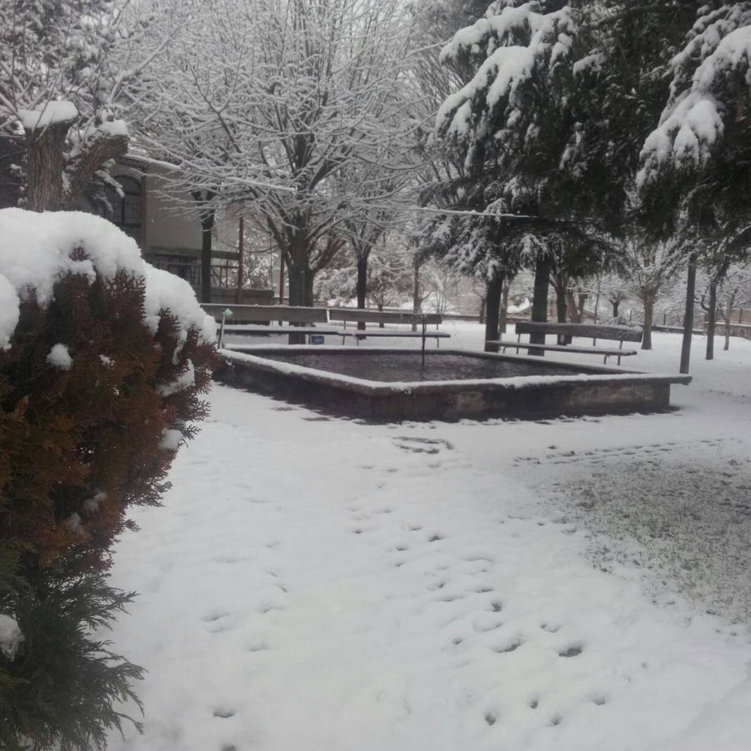 Domaniç Çamlıca Köyü Resimleri 3