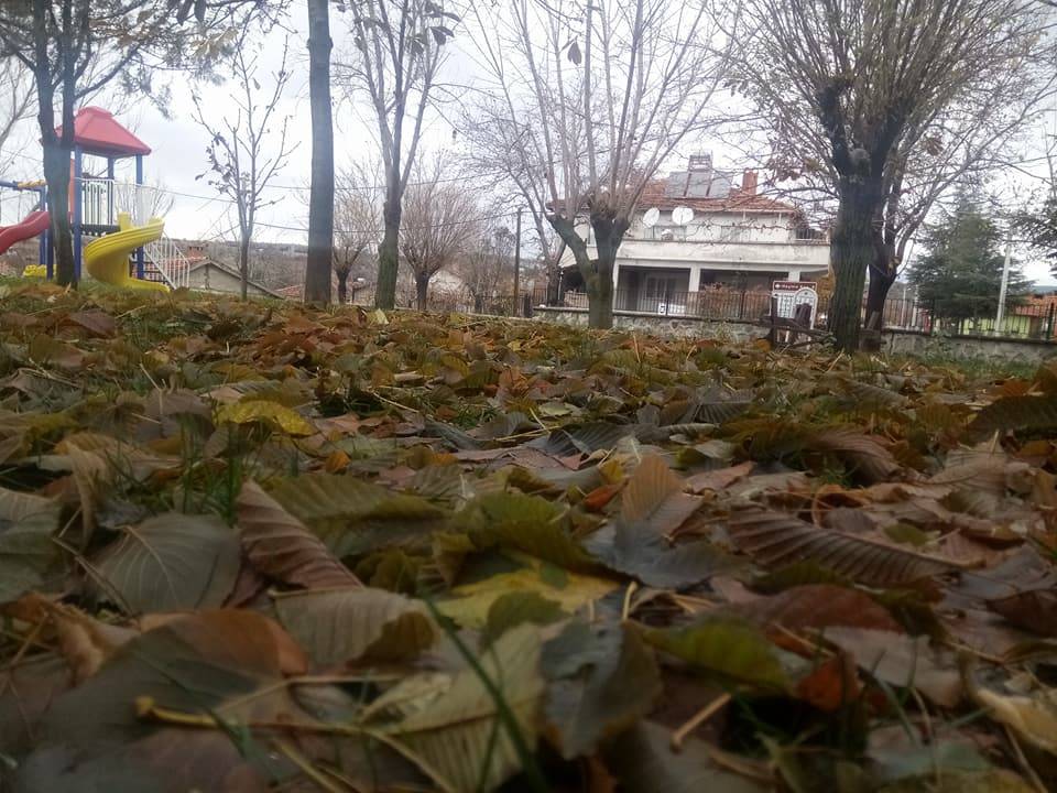 Domaniç Çamlıca Köyü Resimleri 7