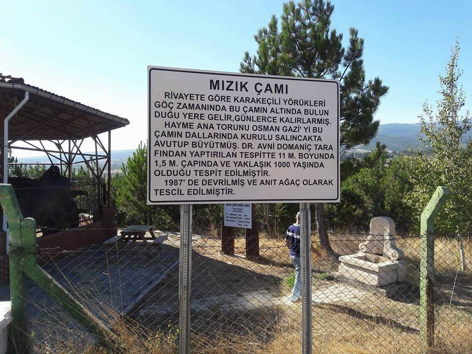 Domaniç Domur Köyü Resimleri 2