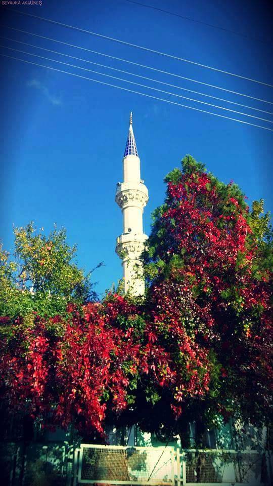 Domaniç Durabey Köyü Resimleri 2