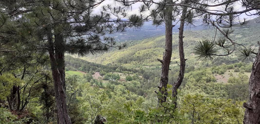 Domaniç Fındıcak Köyü Resimleri 2