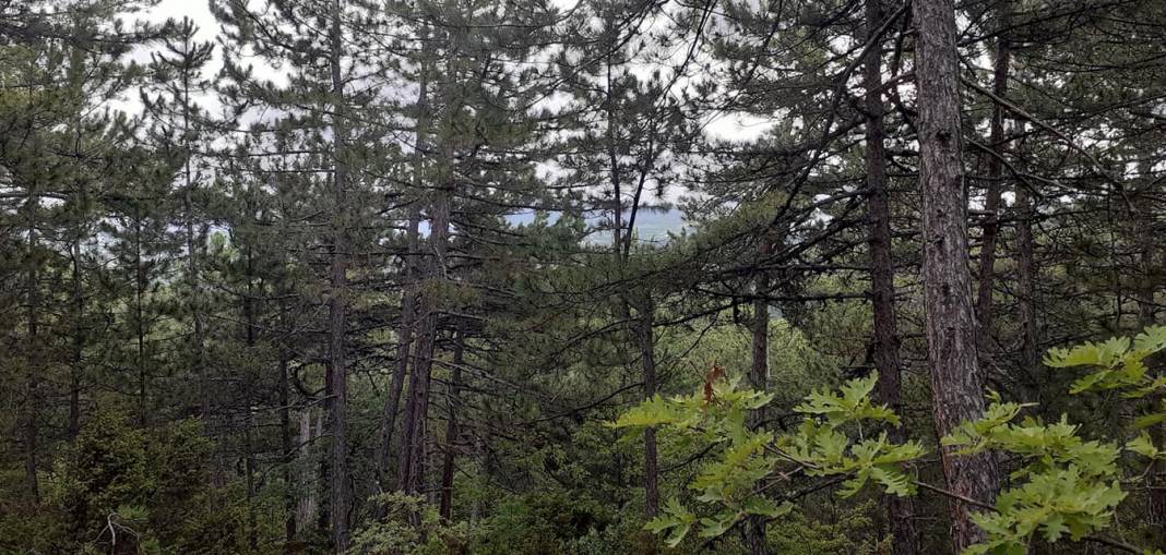 Domaniç Fındıcak Köyü Resimleri 4