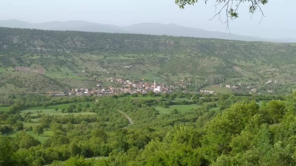 Domaniç Güney Köyü Resimleri 1