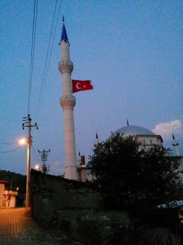 Domaniç Güney Köyü Resimleri 2