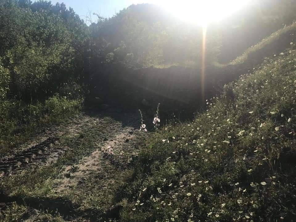 Domaniç Güney Köyü Resimleri 6