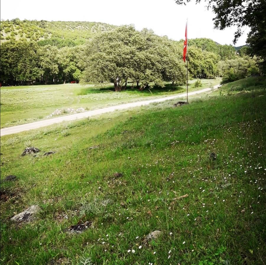 Domaniç Güney Köyü Resimleri 9