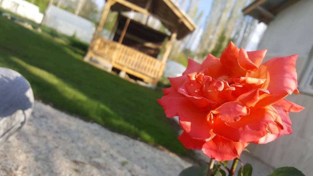 Domaniç Ilıcaksu Köyü Resimleri 1