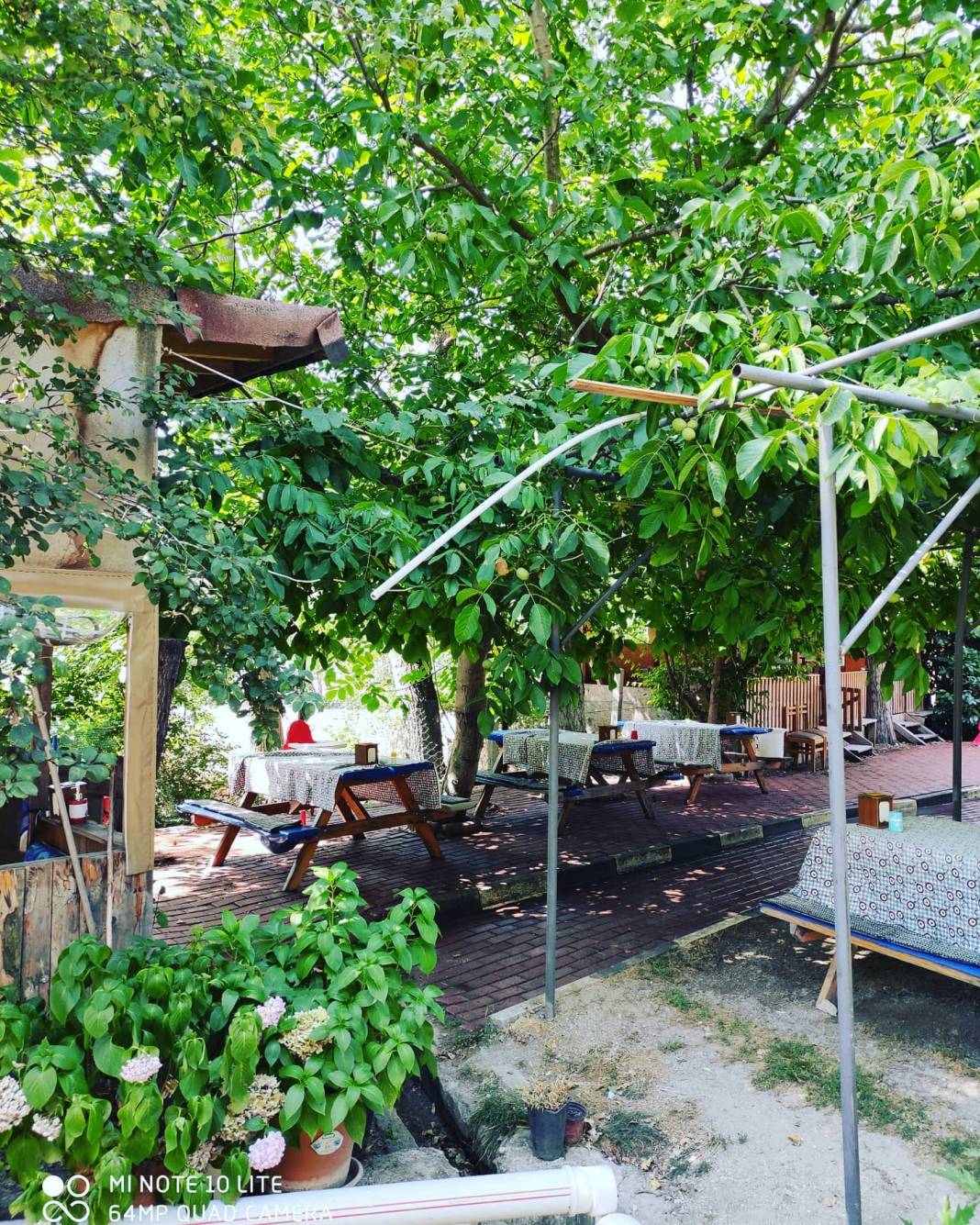 Domaniç Ilıcaksu Köyü Resimleri 10