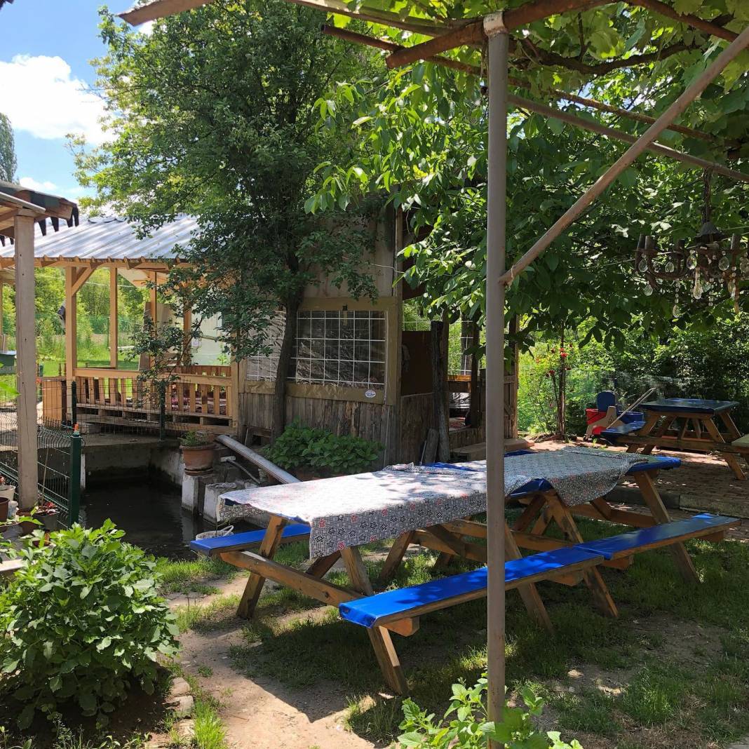 Domaniç Ilıcaksu Köyü Resimleri 8