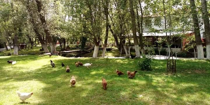 Domaniç Karaköy Köyü Resimleri 6