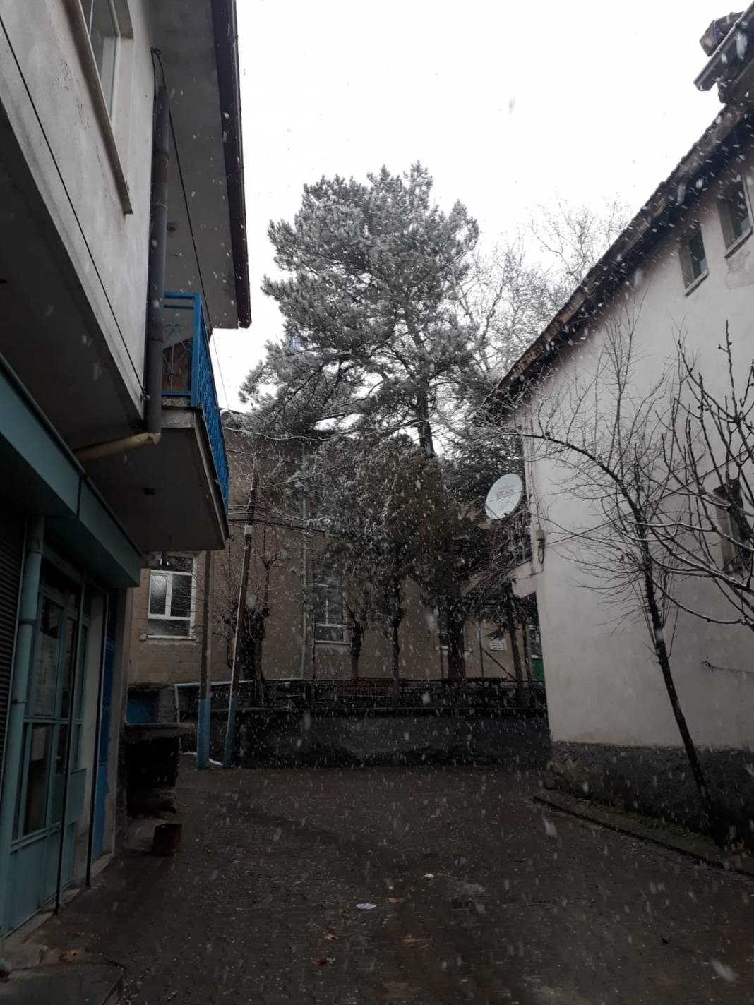 Domaniç Karaköy Köyü Resimleri 9