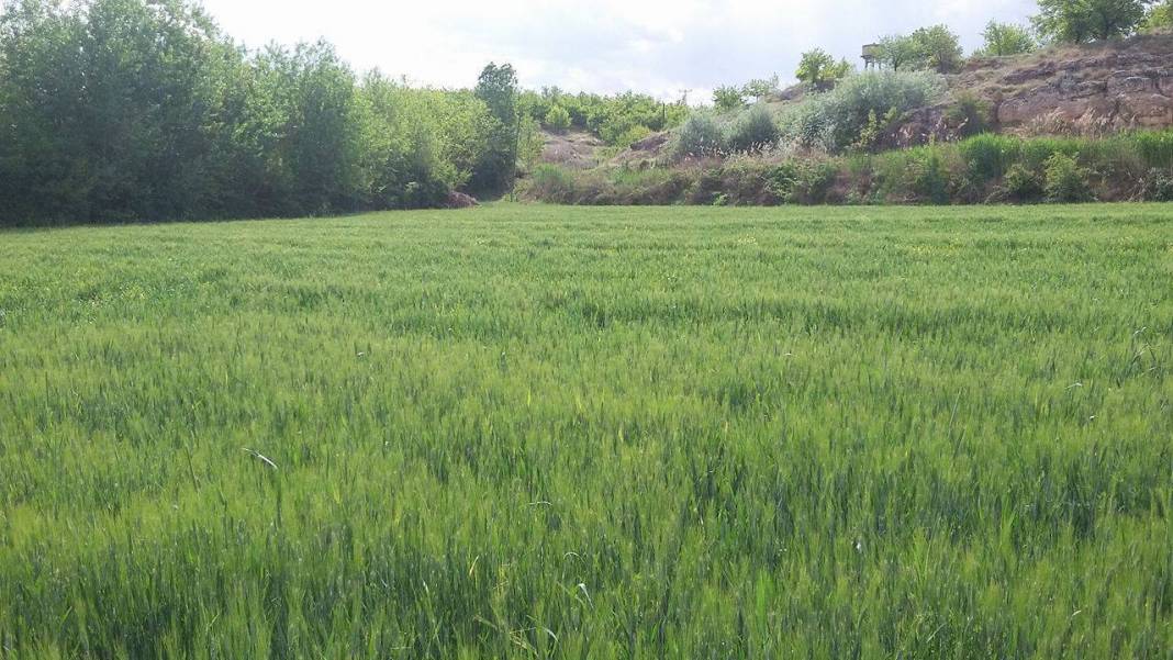 Battalgazi Alişar Köyü Resimleri 1