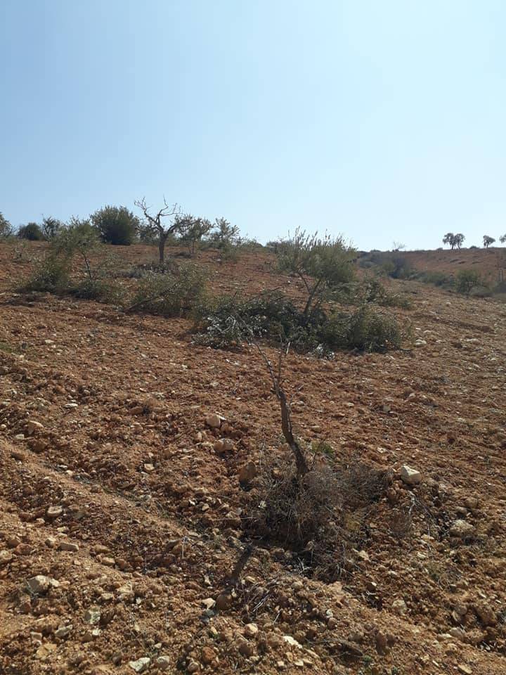 Nizip Kocatepe Köyü Resimleri 2