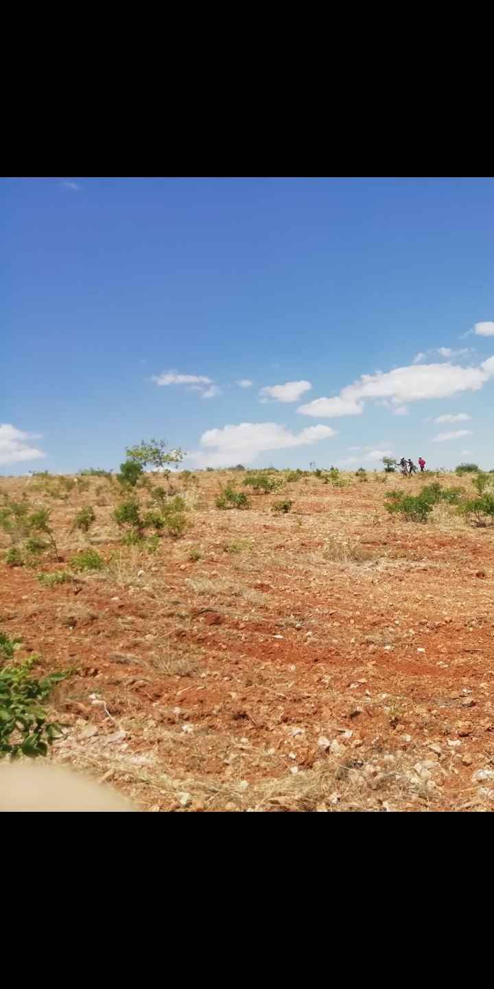 Nizip Kocatepe Köyü Resimleri 4