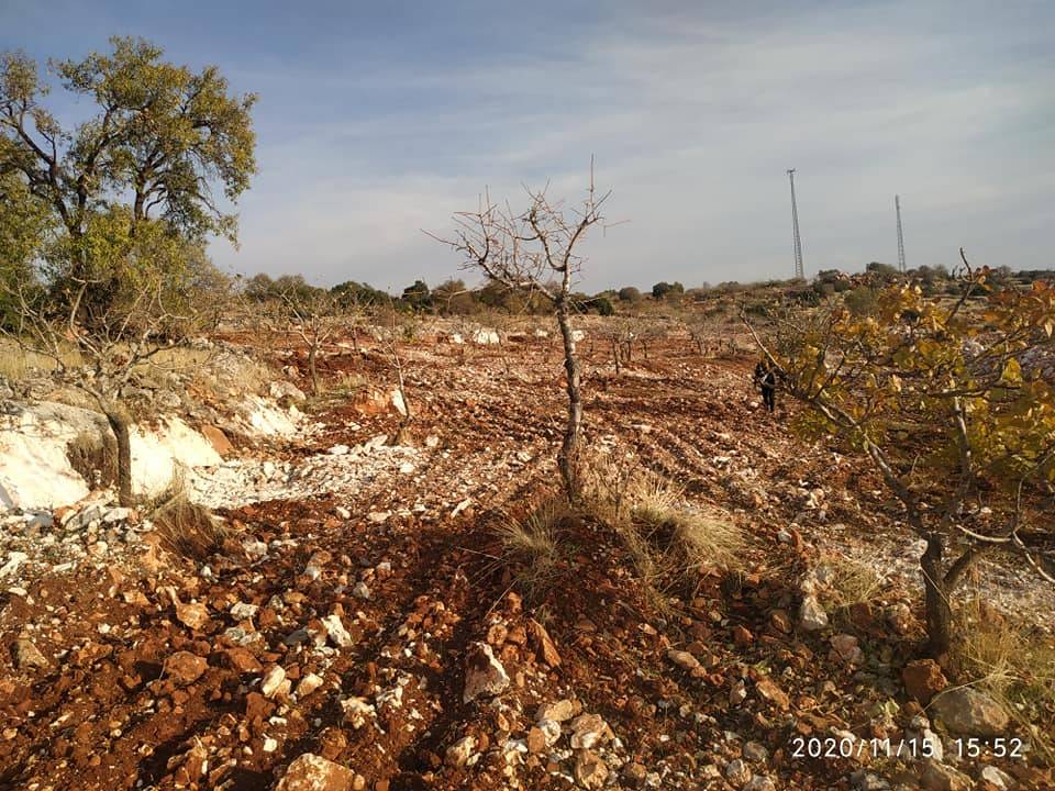 Nizip Salkım Köyü Resimleri 2