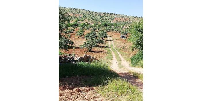 Nizip Salkım Köyü Resimleri