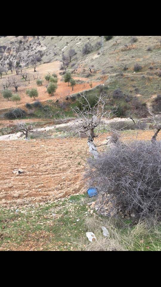 Nizip Tatlıcak Köyü Resimleri 11