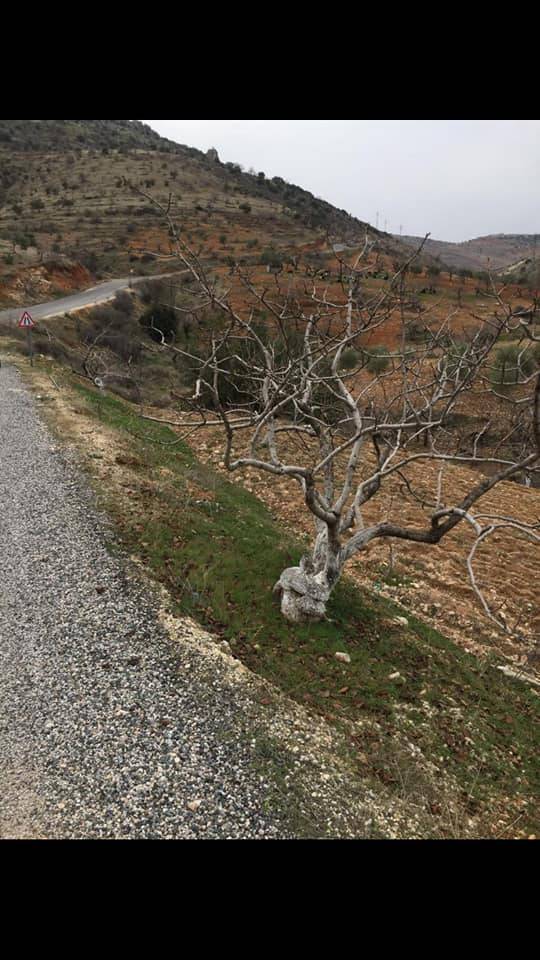 Nizip Tatlıcak Köyü Resimleri 13