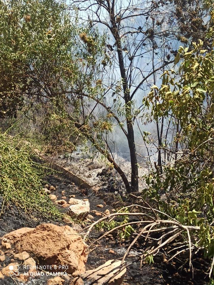 Nizip Tatlıcak Köyü Resimleri 9