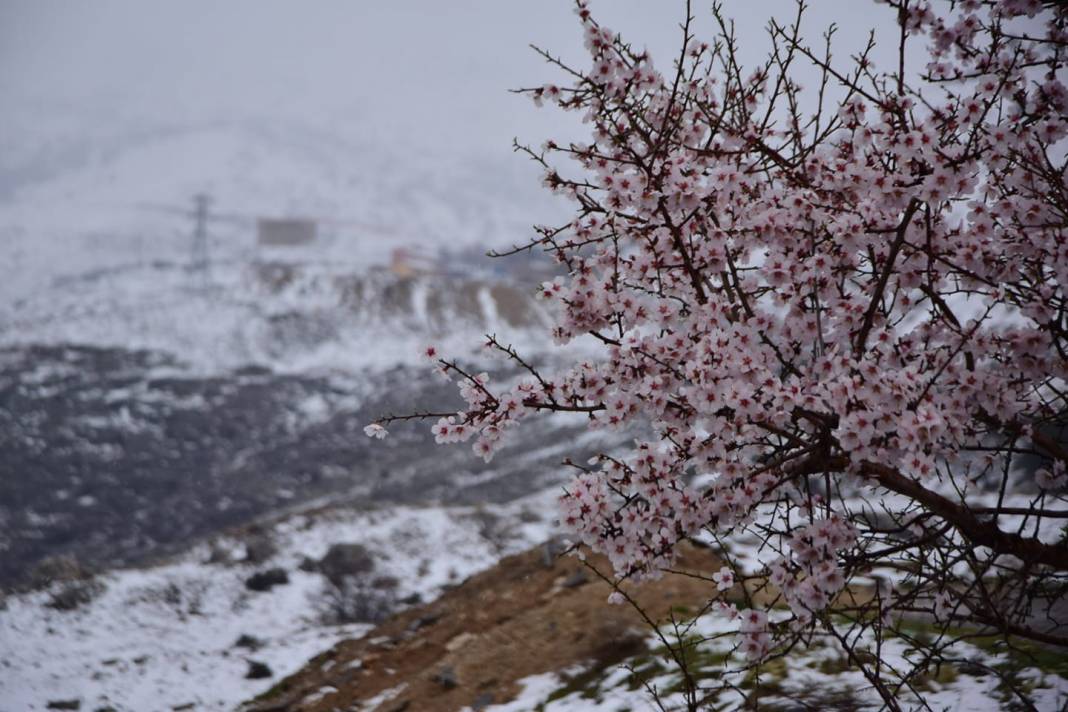 Battalgazi Beydağı Köyü Resimleri 2
