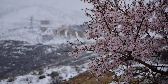 Battalgazi Beydağı Köyü Resimleri