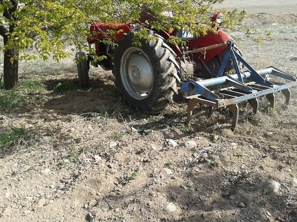 Battalgazi Çolakoğlu Köyü Resimleri 2