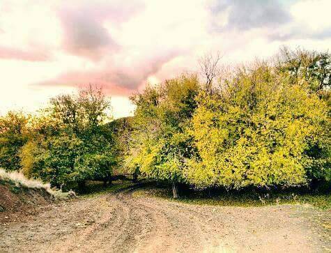 Kozluk Yeniçağlar Köyü Resimleri 2